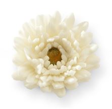 Picture of WHITE GERBERA 6CM EDIBLE HAND MADE FLOWER CAKE TOPPER